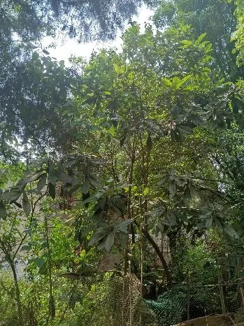 1722224664786387.jpg 3.jpg